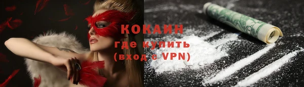 стаф Усмань